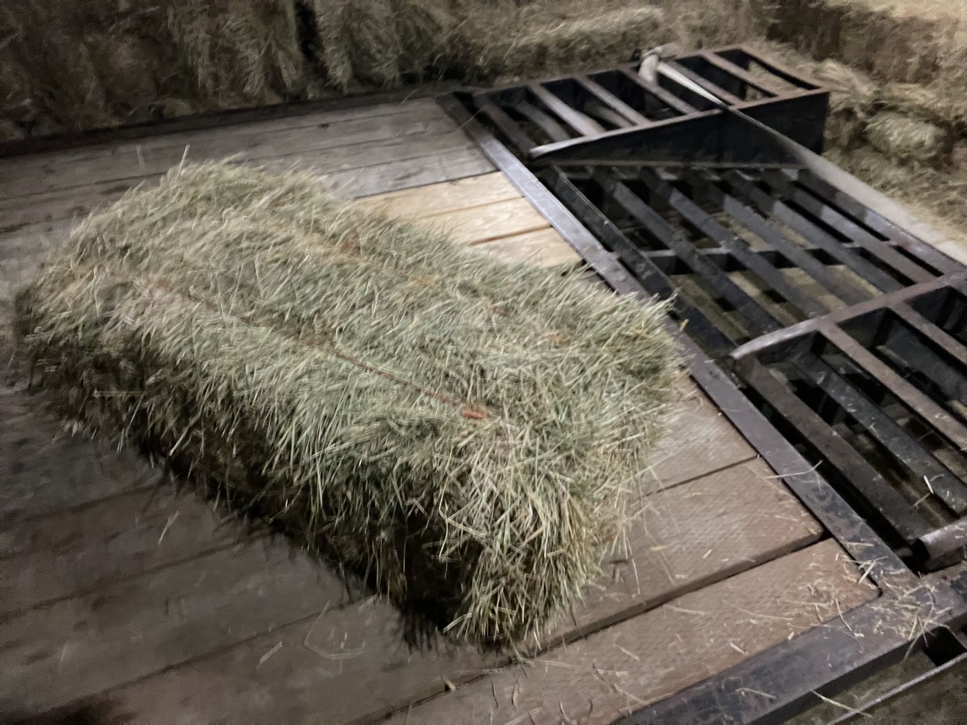 Hay