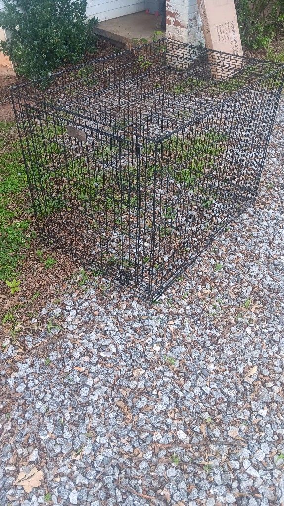 Petco Large Dog Crate