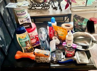 Large Dog Care & Supplies Bundle Lot