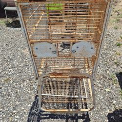 Bird Cage 