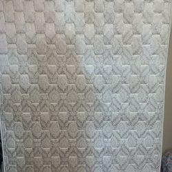 Free Size FULL Santa Maria 