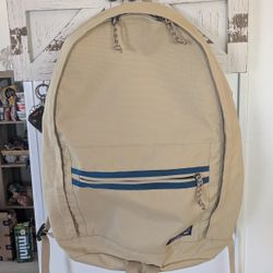Patagonia Back Pack