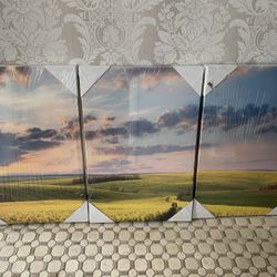 Gallery Wrap Paintings 