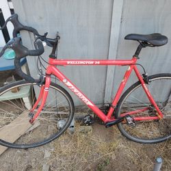 Windsor Wellington 2.0 Bicycle Road Bike Aluminum 6061