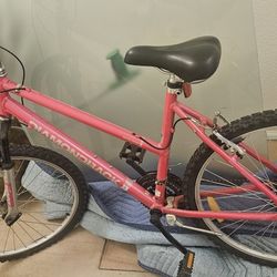 Pink Mountain Bike