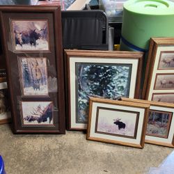 6 Gerry Lamarre Wildlife Framed Pictures Portrait 