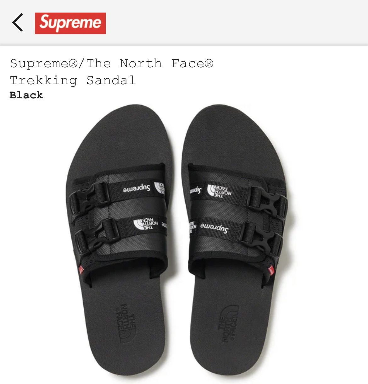 Supreme Sandals For Men Size 10 North Face