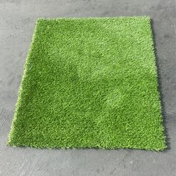 Turf Pet Grass