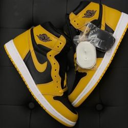 Jordan 1 High “Pollen “ Men Sz 9