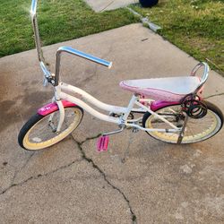 Schwinn Girls Bike