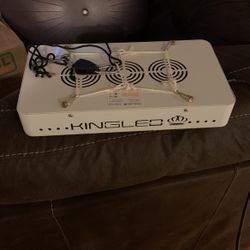 King LED grow late