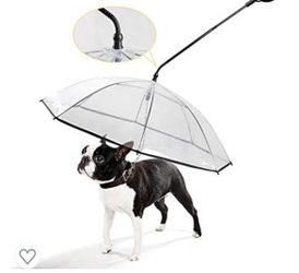 Pet Umbrella 