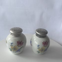 Vintage Porcelain Floral Salt&Pepper Shakers Stamped Thomas Germany 892