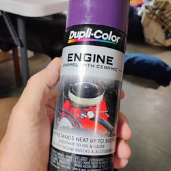 Dupli-Color/Krylon Plum Purple Engine Paint 12oz