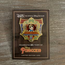 Disney pin