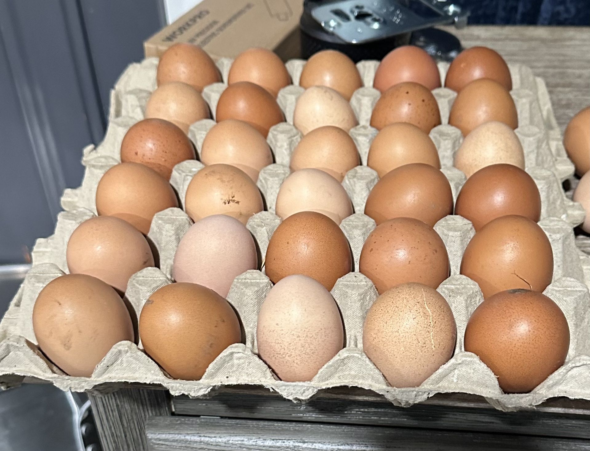Organic Eggs