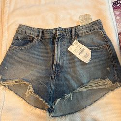 Zara Shorts 