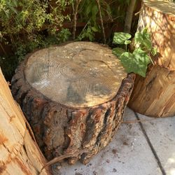 Tree Stumps 