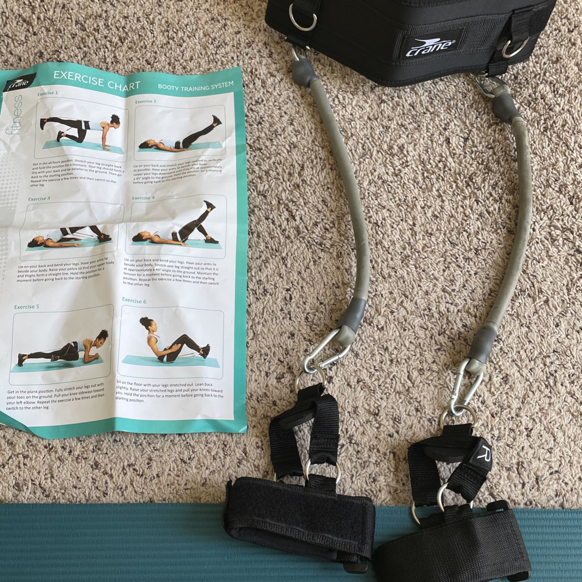 Booty Training System Exercise Bands, Never Used, Carrying Bag And Exercise Chart Included