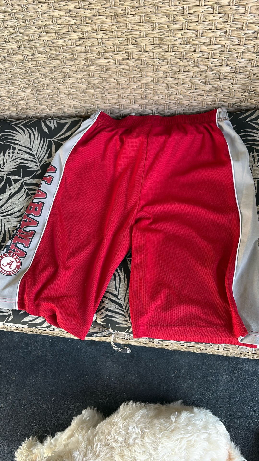 14/16 Shorts $5