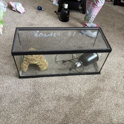 Reptile Tank