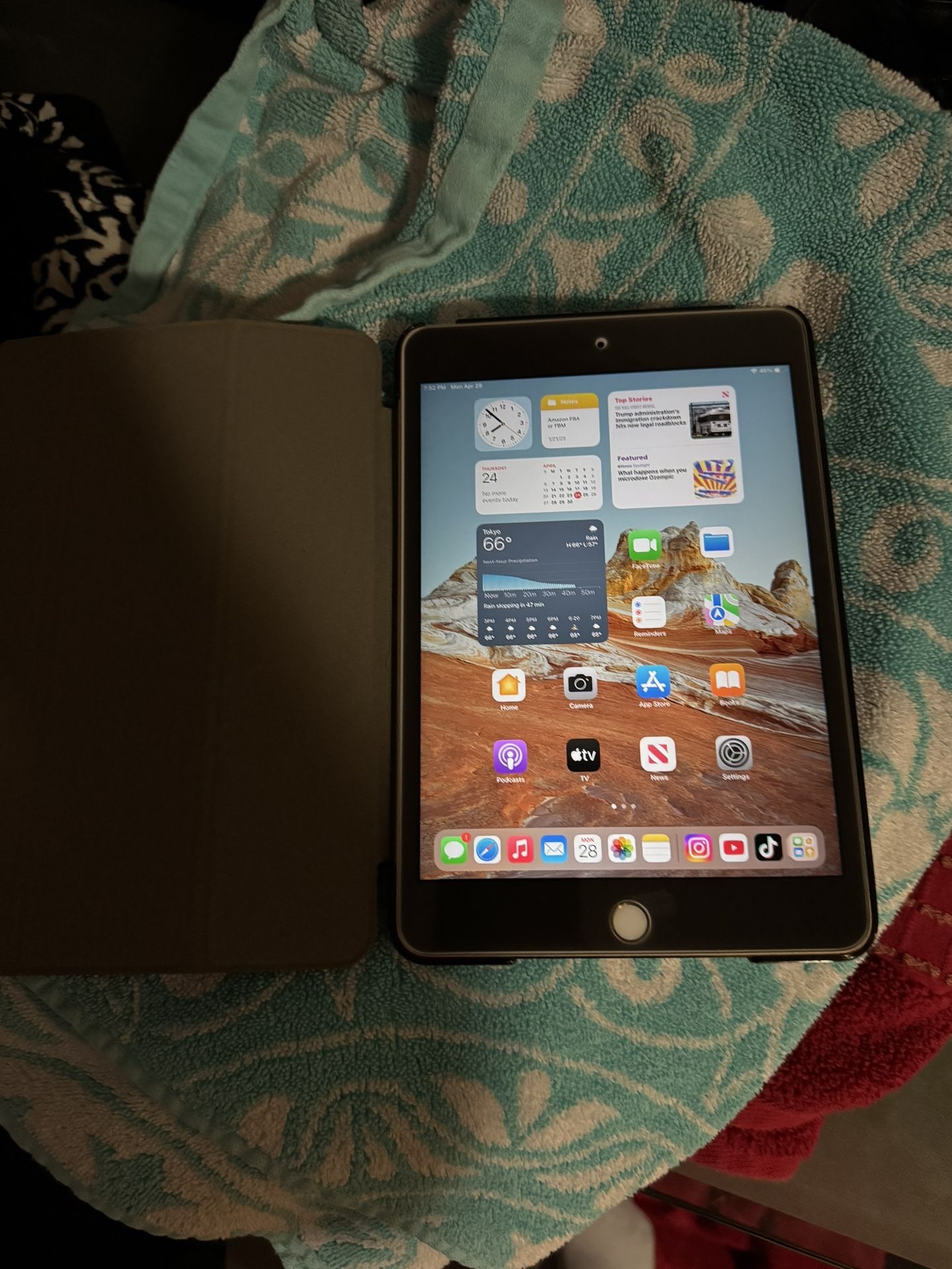 iPad mini