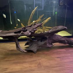  Aquarium Driftwood XL 