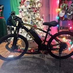 ACTBEST Apex Ebike
