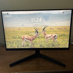 22” LED Samsung Computer Monitor (WestSide)