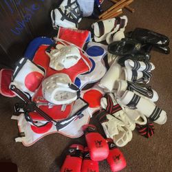 Martial Arts Protective Gear Lot