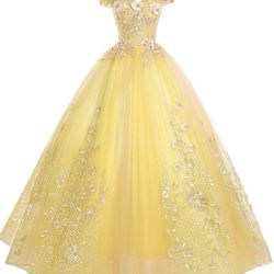 Quinceanera Dress