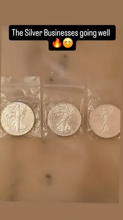 American 1oz silver eagles for sale 87$ each Price Is FIRM AND CASH ONLY .