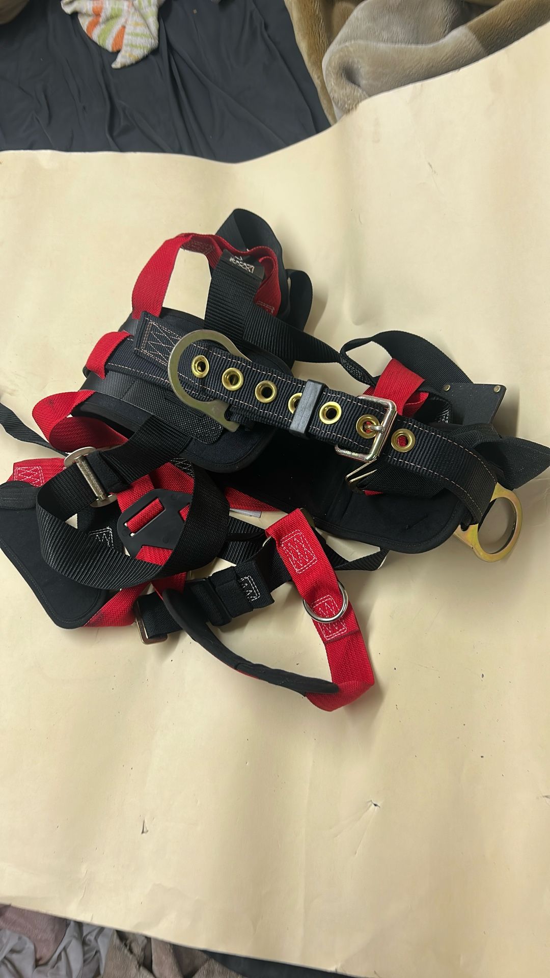 Harness