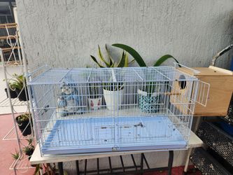 Jaula para pajaro
