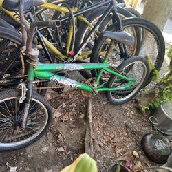 20" Size Bike Needs Lil TLC