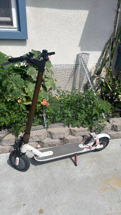 Customize Electric Scooter