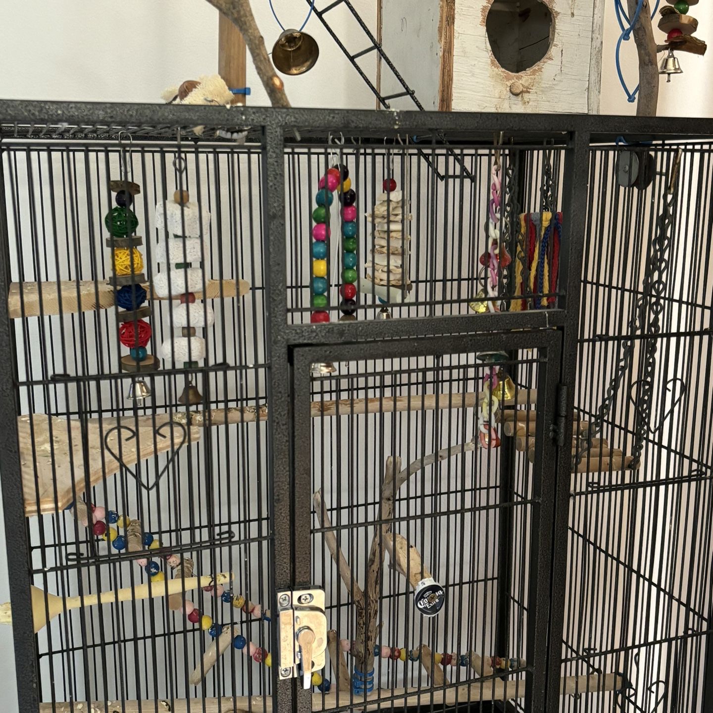 Cage and Toys