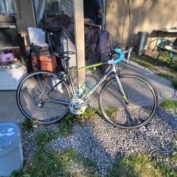 Bicicleta profecional