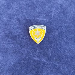 Vintage Pin Gold Color Enamel Pin 