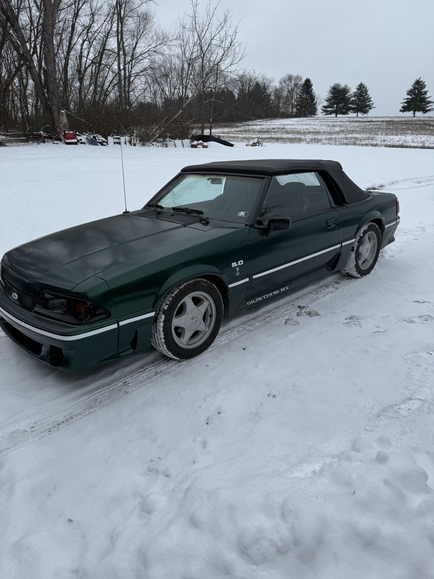 1986 Ford Mustang