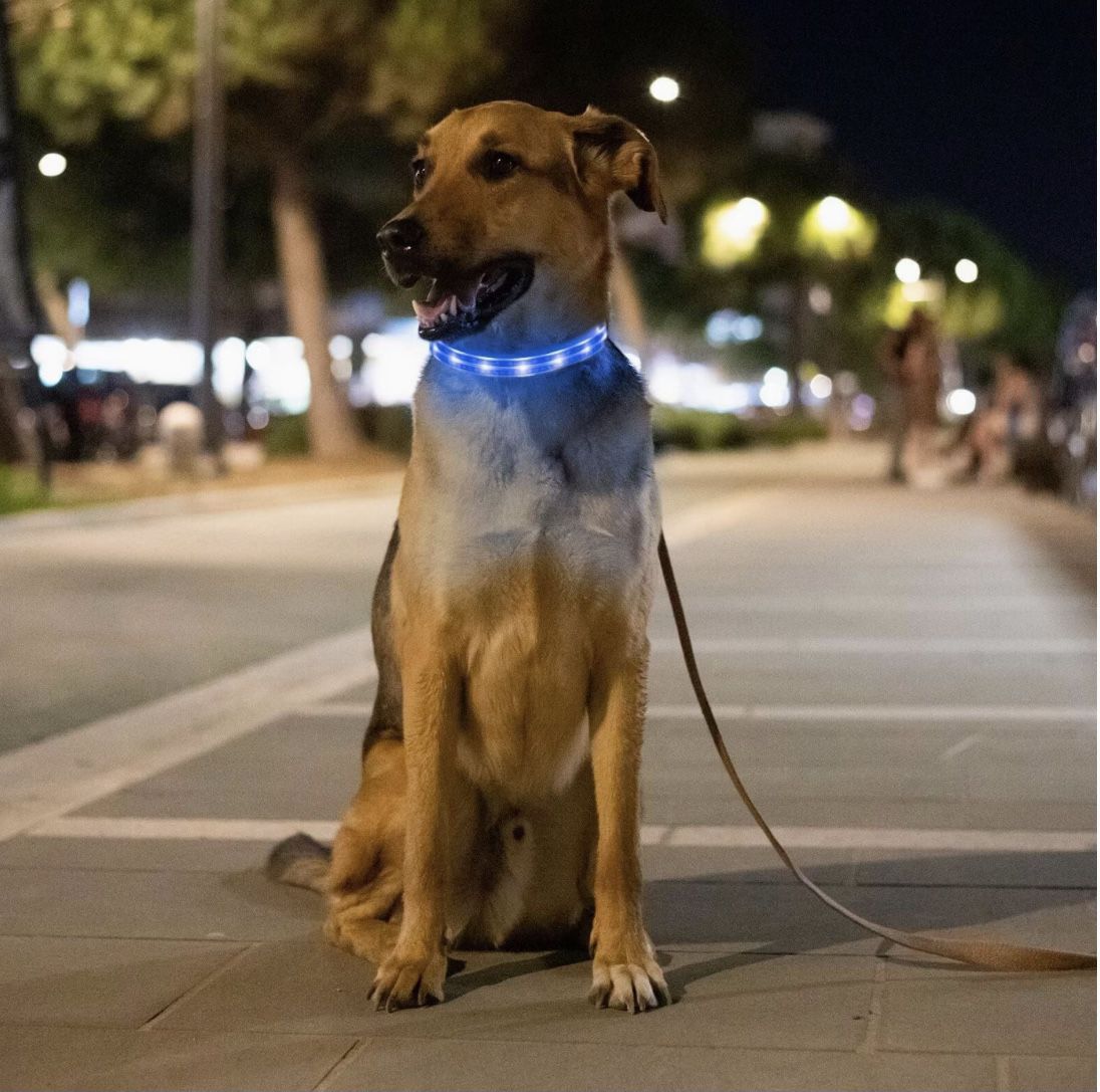 LED Dog Collar, Light Up Dog Collars, USB Rechargeable