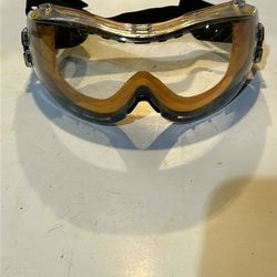 Dewalt Goggles 
