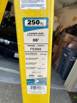 6ft Ladder