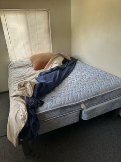 Bed, couch, chair (free)