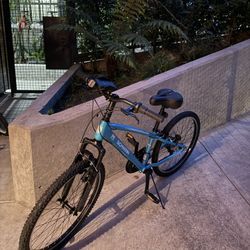 Schwinn mountain bike 