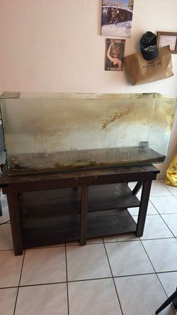 55 turtle tank & table- i need it to be gone asap