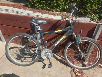 Adult Bicycles