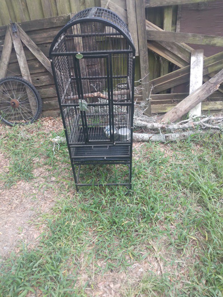 Nice Standing Bird Cage