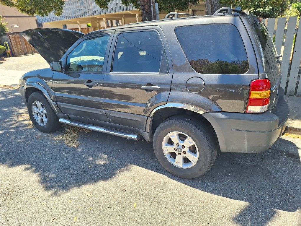 2007 Ford Escape