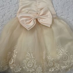 Beautiful Dress